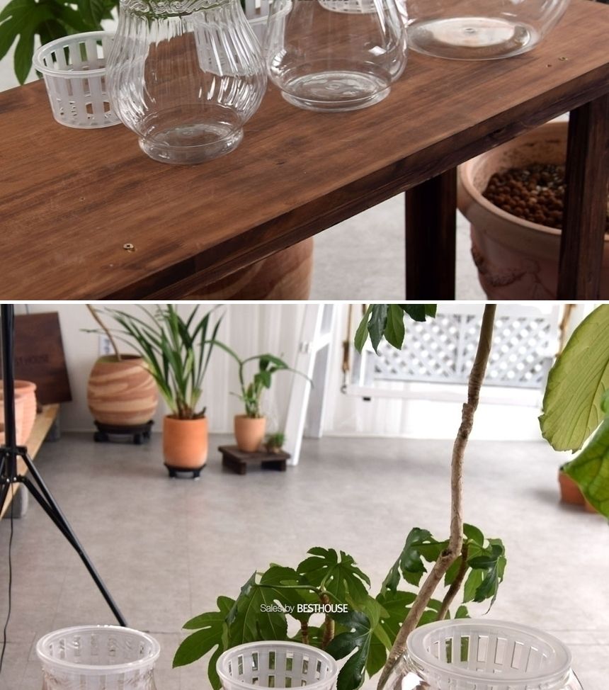 수경재배용 고투명 BH 플라스틱 화분 매쉬포트포함 BH-110A 11x15cm/사무실화분/선물용화분/소형화분/실내