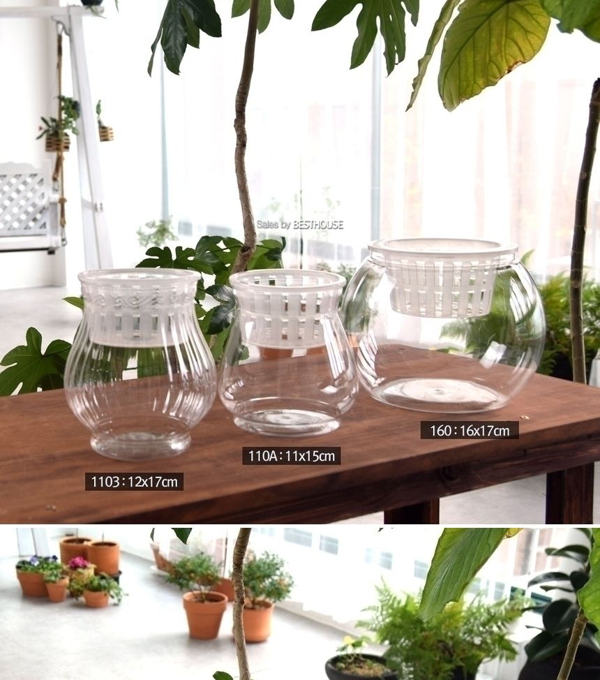 수경재배용 고투명 BH 플라스틱 화분 매쉬포트포함 BH-110A 11x15cm/사무실화분/선물용화분/소형화분/실내