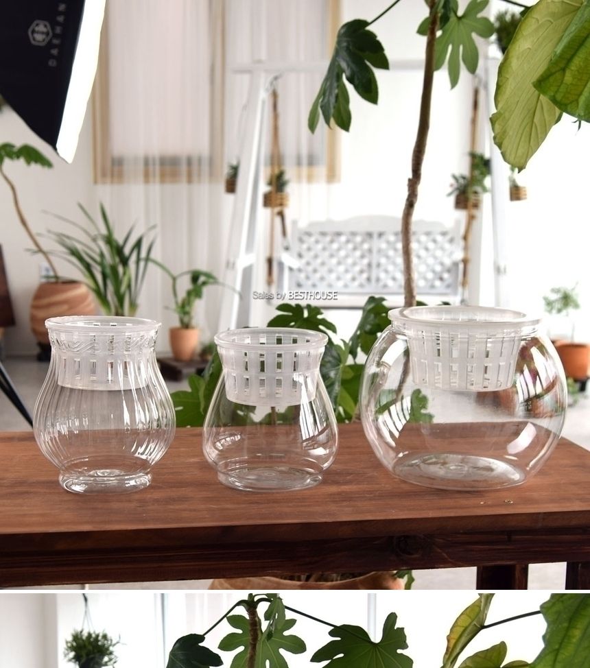 수경재배용 고투명 BH 플라스틱 화분 매쉬포트포함 BH-160 16x17cm/원형화분/인테리어화분/미니화분/예쁜미