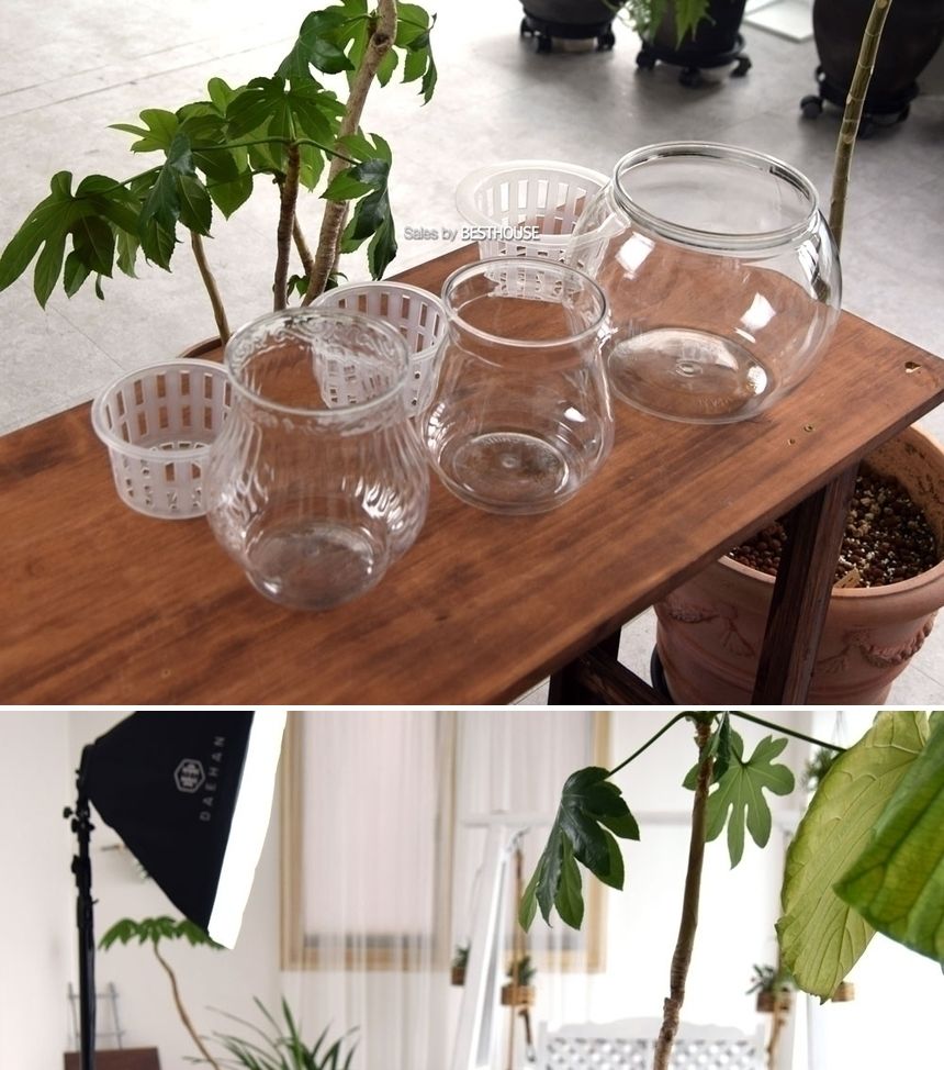 수경재배용 고투명 BH 플라스틱 화분 매쉬포트포함 BH-160 16x17cm/원형화분/인테리어화분/미니화분/예쁜미