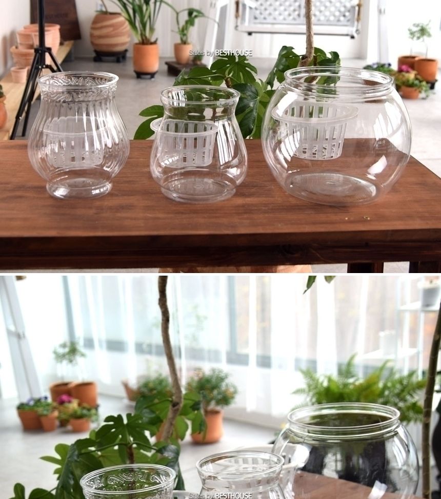 수경재배용 고투명 BH 플라스틱 화분 매쉬포트포함 BH-160 16x17cm/원형화분/인테리어화분/미니화분/예쁜미