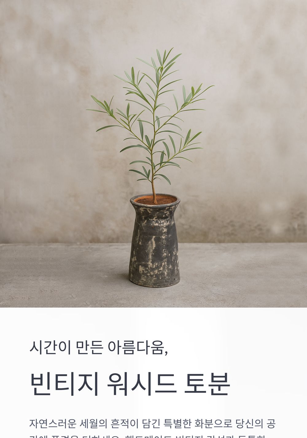 베트남 빈티지 워시드 토분 T11 14x23cm/화분/토분/빈티지화분/빈티지토분/식물화분/꽃화분/모정화분/베란