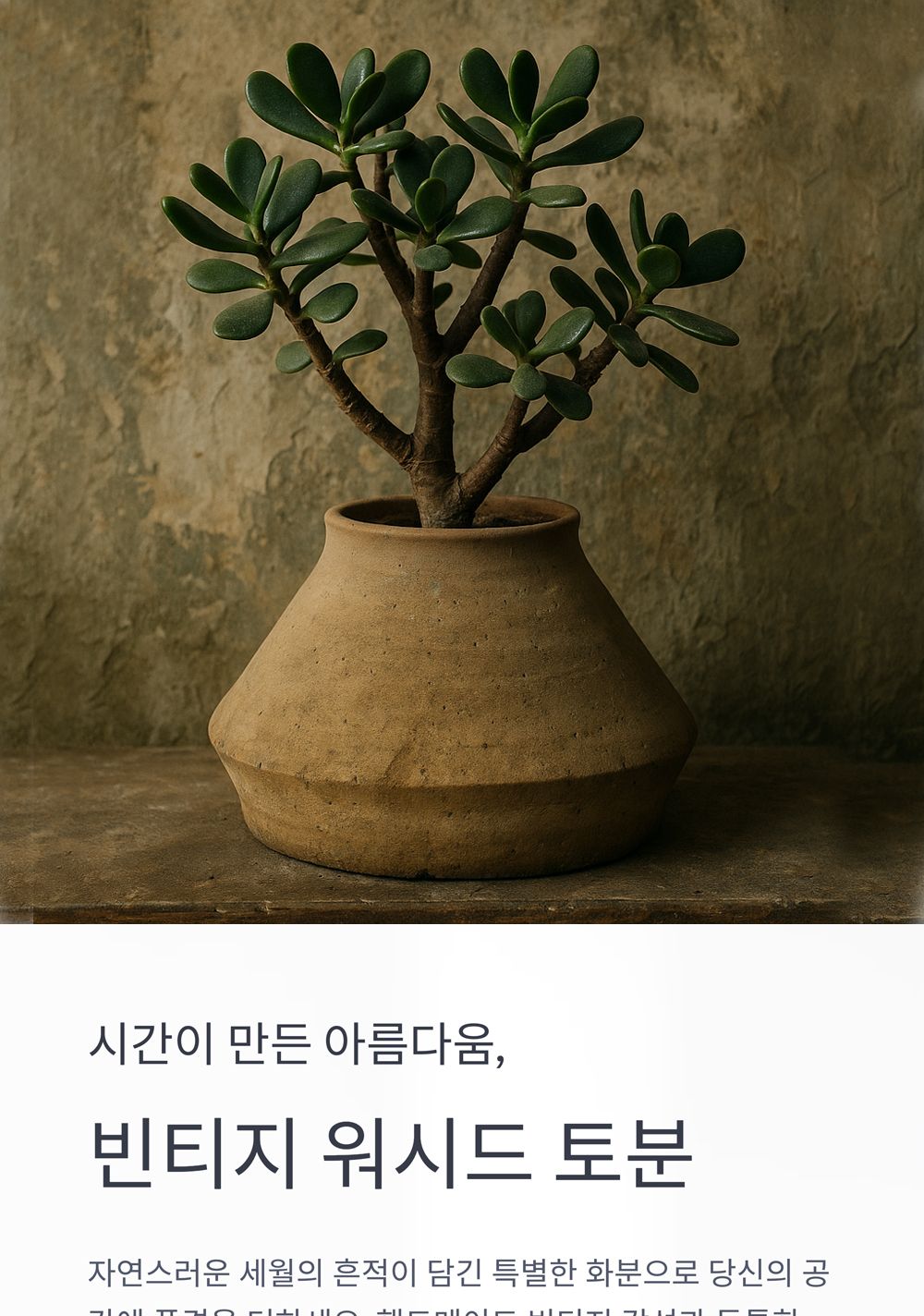 베트남 빈티지 워시드 토분 TDB14 13x18cm/화분/토분/빈티지화분/빈티지토분/식물화분/꽃화분/모정화분/베