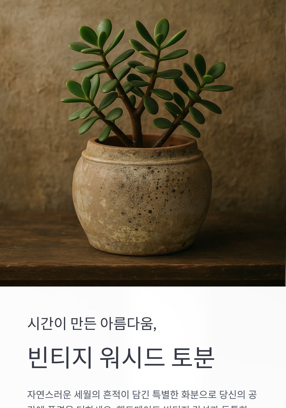베트남 빈티지 워시드 토분 TDB05 18x19cm/화분/토분/빈티지화분/빈티지토분/식물화분/꽃화분/모정화분/베
