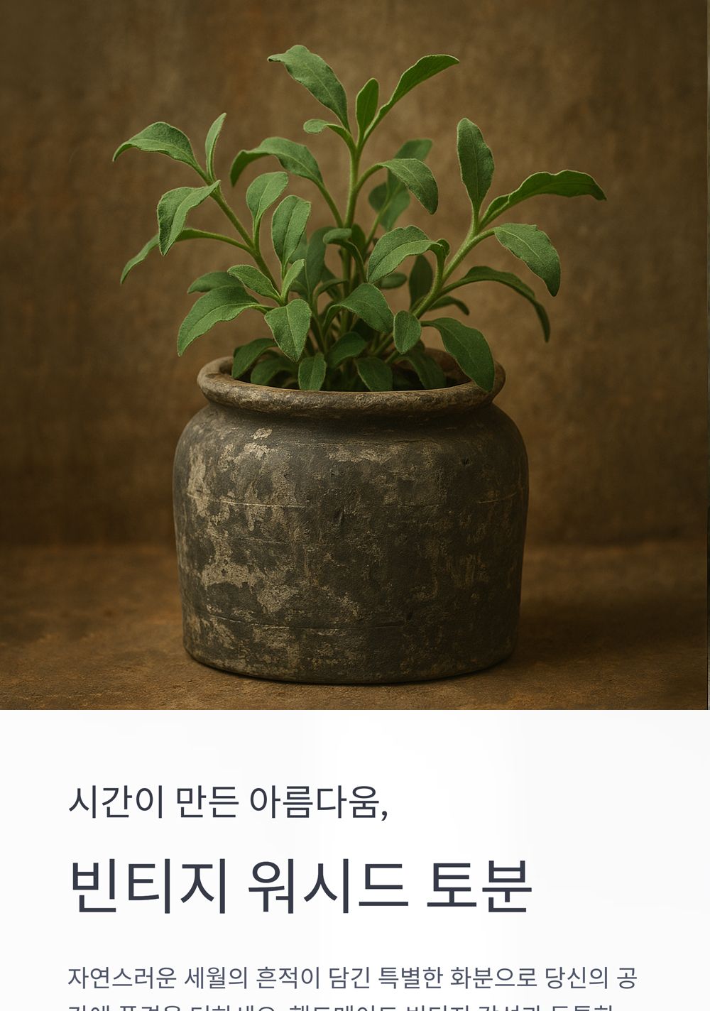 베트남 빈티지 워시드 토분 T6 13x14cm/화분/토분/빈티지화분/빈티지토분/식물화분/꽃화분/모정화분/베란다