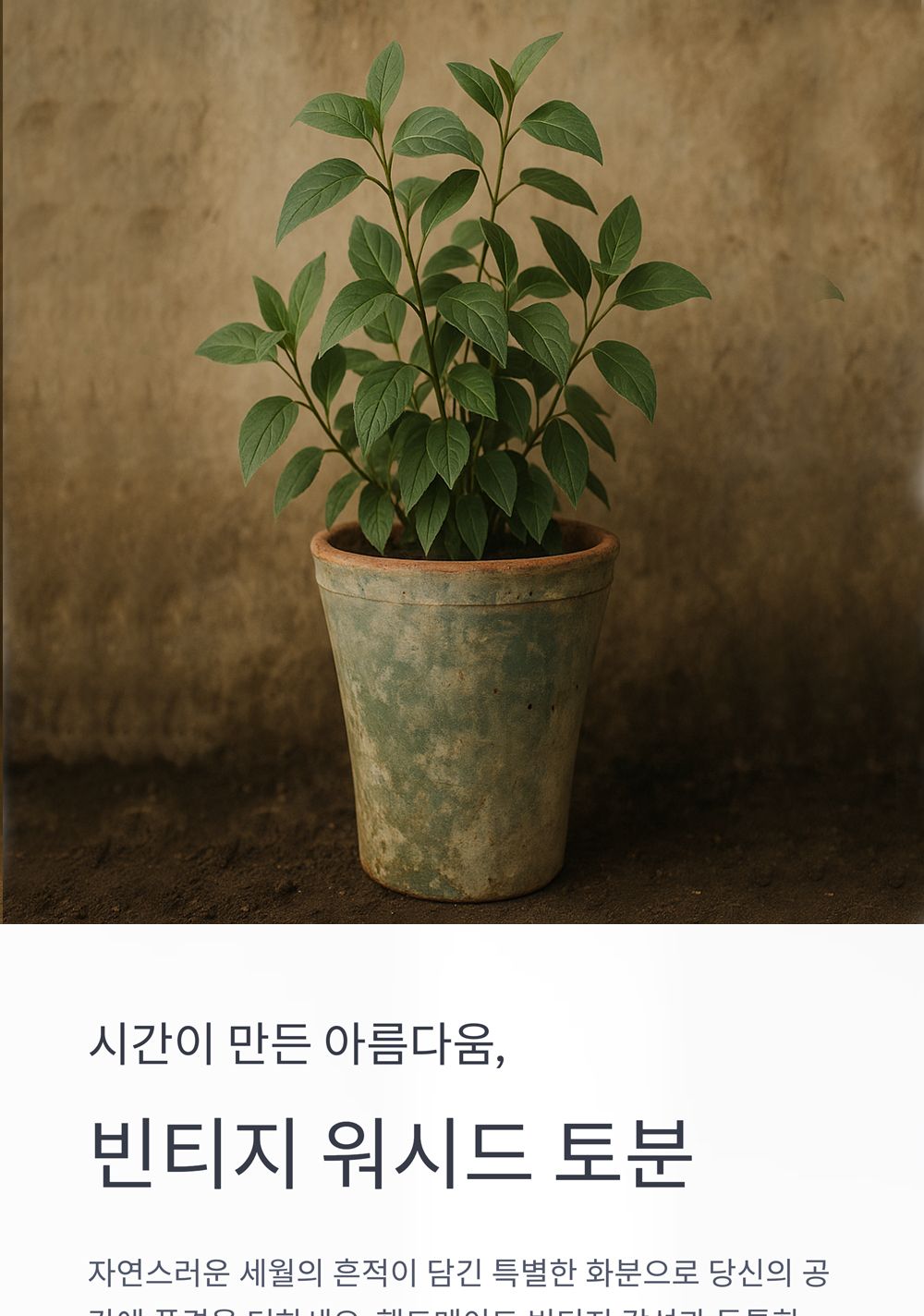 베트남 빈티지 워시드 토분 T7 15x17cm/화분/토분/빈티지화분/빈티지토분/식물화분/꽃화분/모정화분/베란다