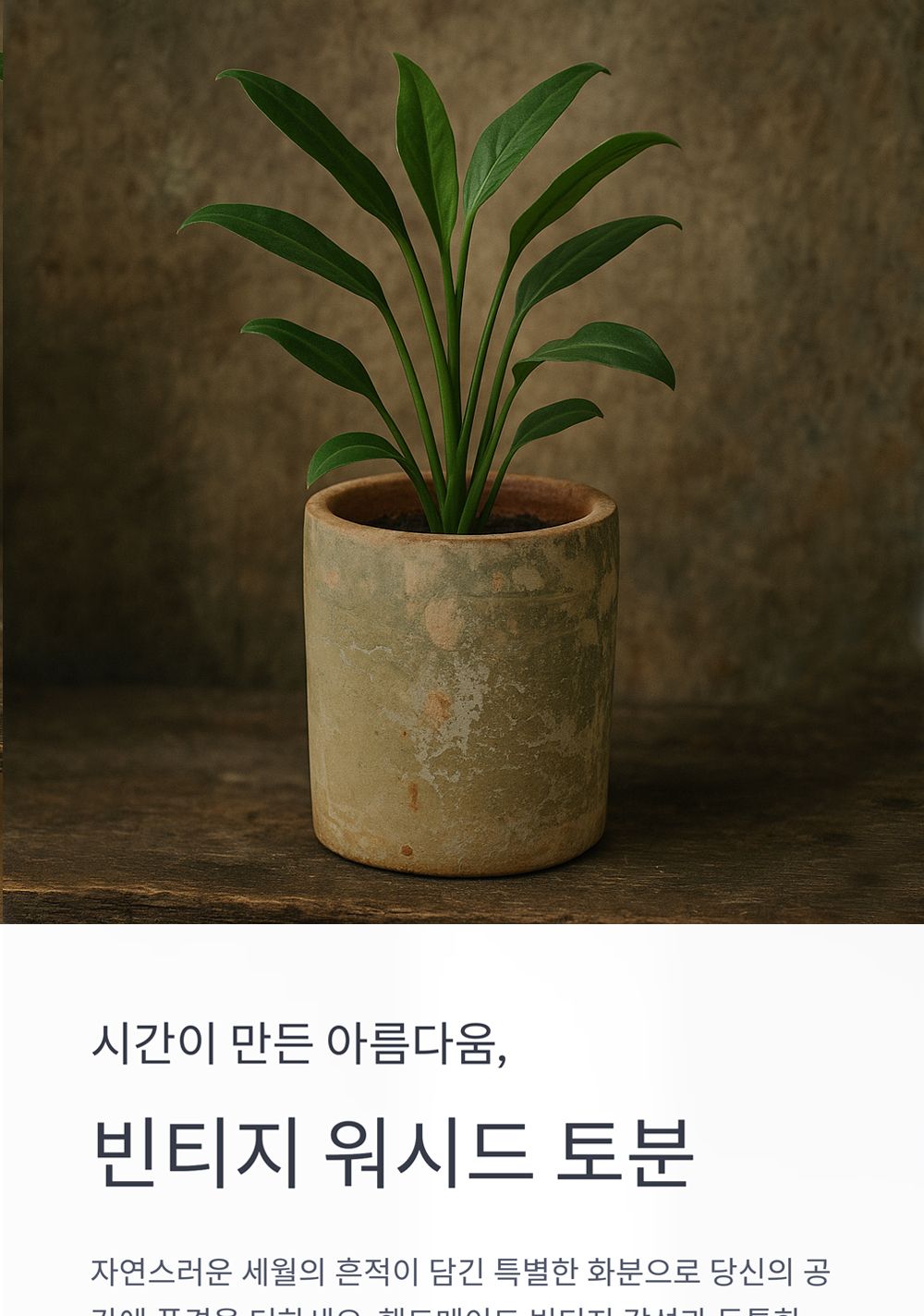 베트남 빈티지 워시드 토분 T1-A 13x14cm/화분/토분/빈티지화분/빈티지토분/식물화분/꽃화분/모정화분/베란