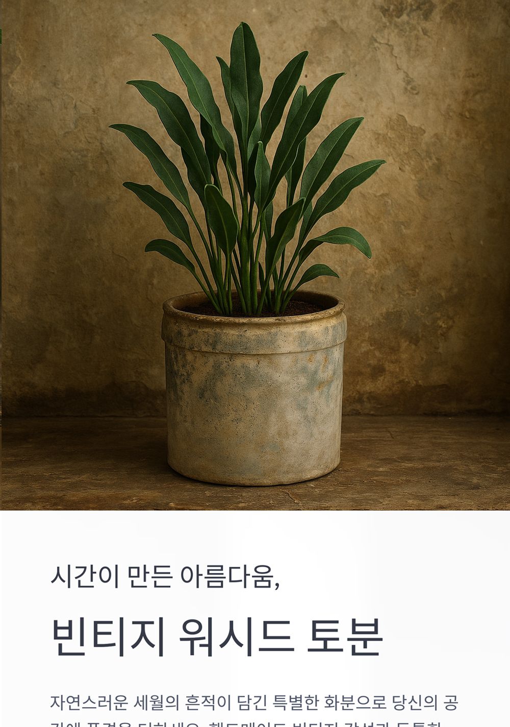 베트남 빈티지 워시드 토분 TDB-01 16x16cm/화분/토분/빈티지화분/빈티지토분/식물화분/꽃화분/모정화분/베