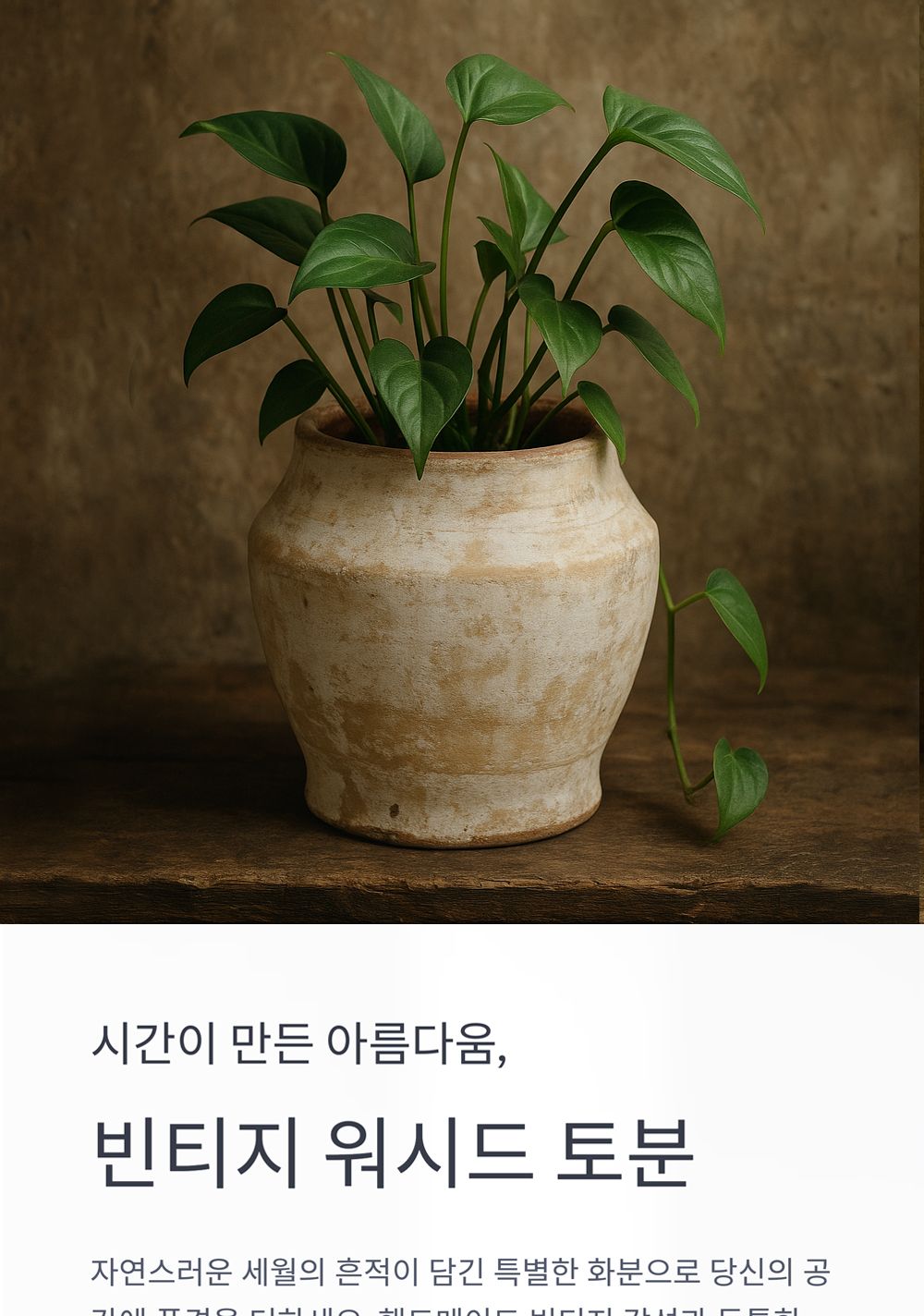 베트남 빈티지 워시드 토분 T3 13x16cm/화분/토분/빈티지화분/빈티지토분/식물화분/꽃화분/모정화분/베란다