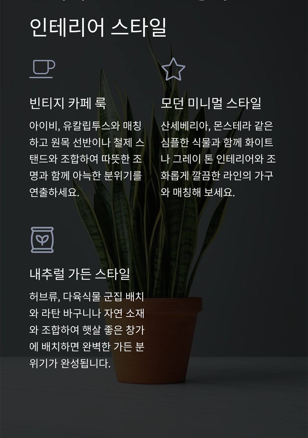 베트남 빈티지 워시드 토분 T3 13x16cm/화분/토분/빈티지화분/빈티지토분/식물화분/꽃화분/모정화분/베란다