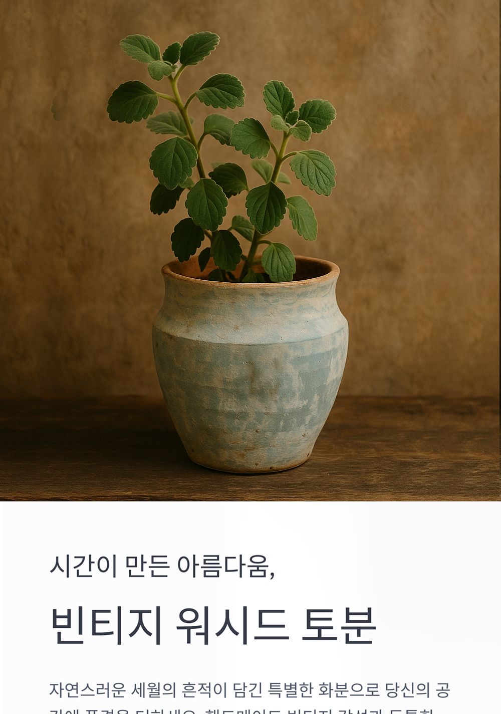 베트남 빈티지 워시드 토분 T4 18x20cm/화분/토분/빈티지화분/빈티지토분/식물화분/꽃화분/모정화분/베란다