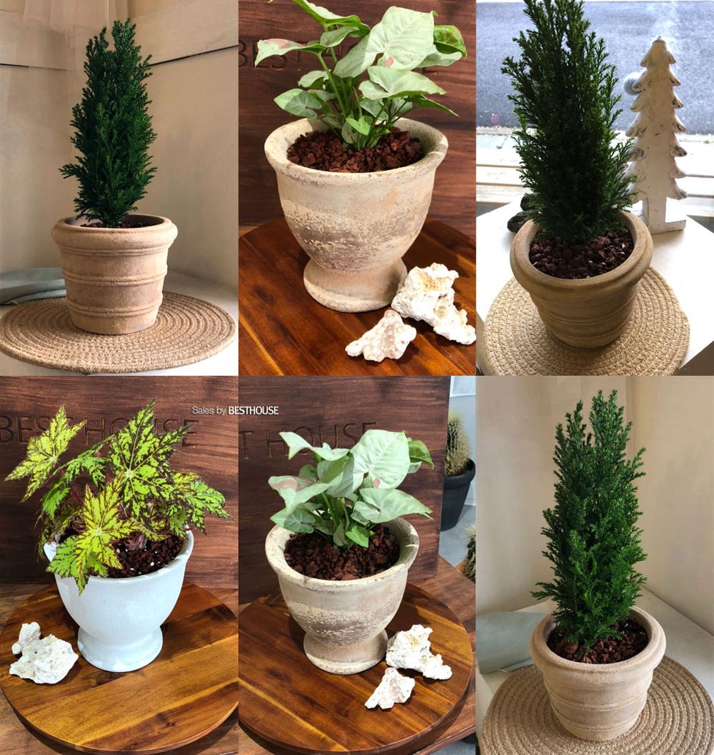 베스트하우스 빈티지 토분 H100260 15x16cm 엔티크/빈티지화분/빈티지토분/토기화분/인테리어화분/토분/꽃