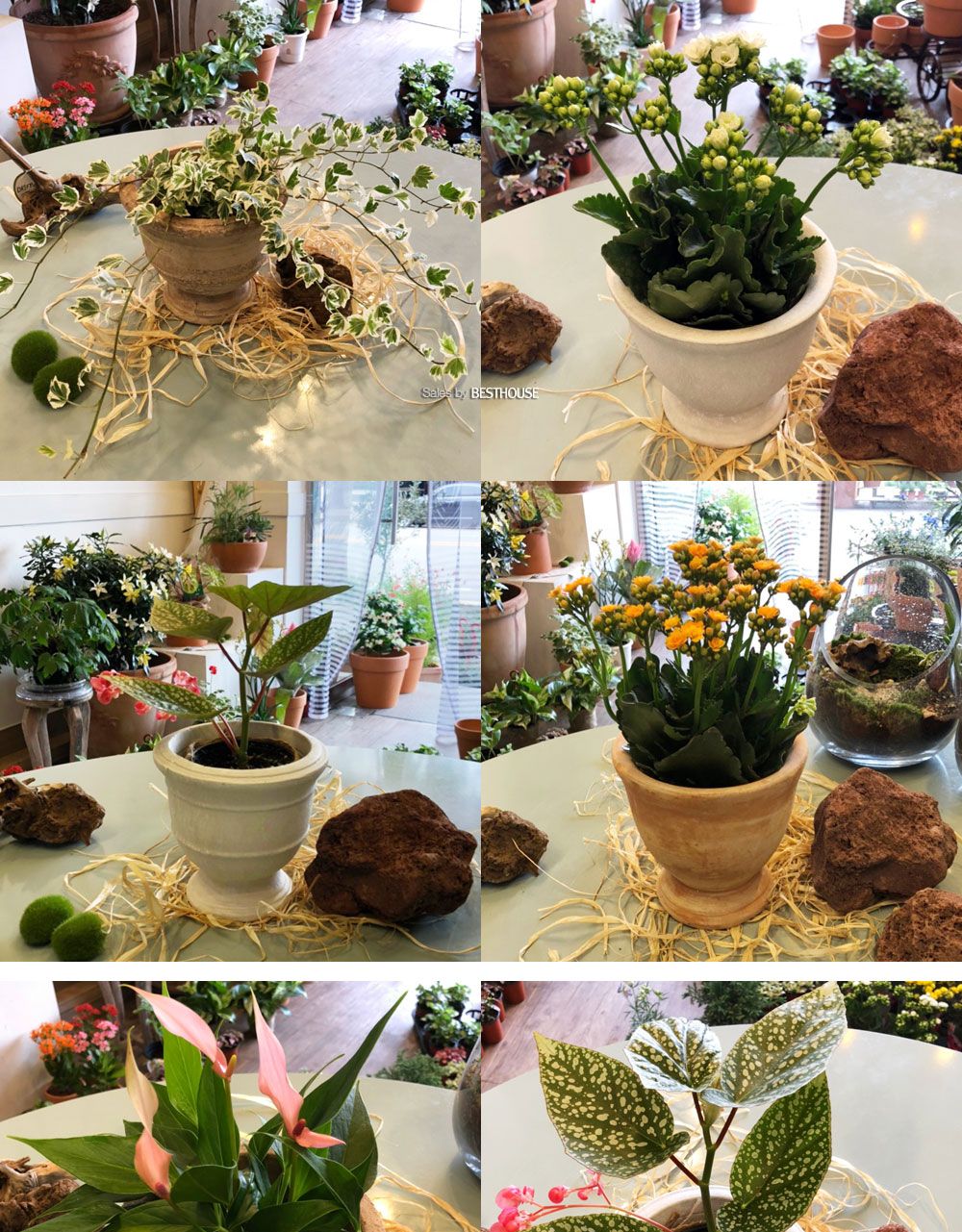 베스트하우스 빈티지 토분 H100260 15x16cm 엔티크/빈티지화분/빈티지토분/토기화분/인테리어화분/토분/꽃