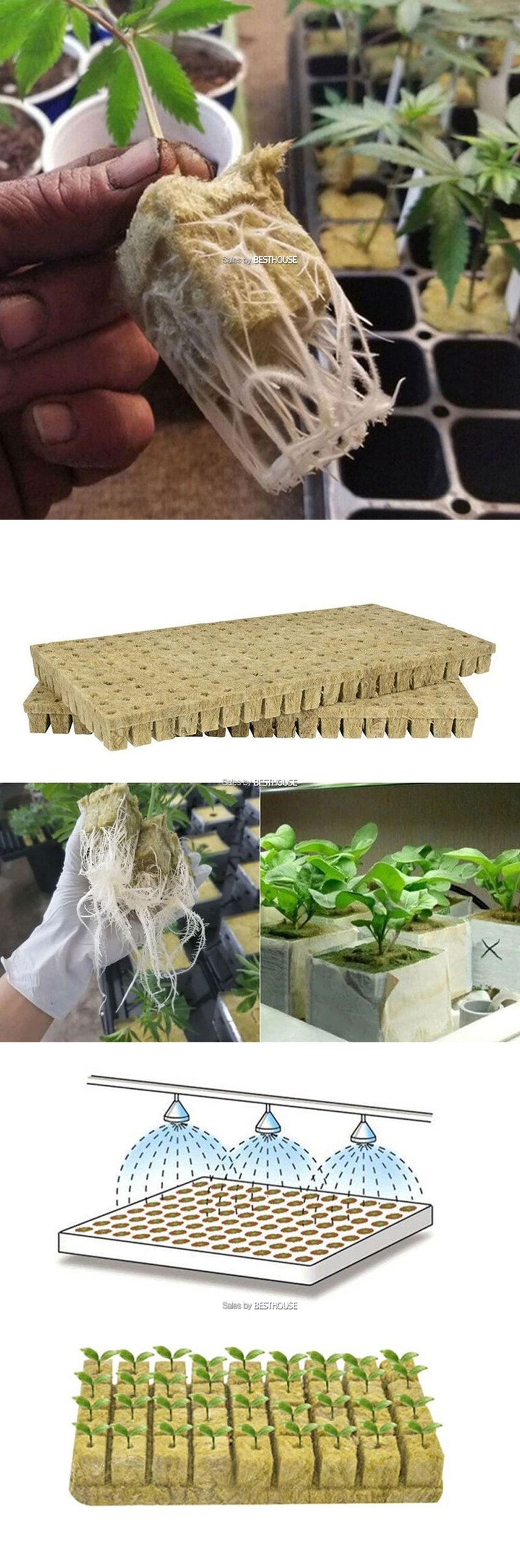 씨앗 발아 스타터 울플러그 25x25x25mm (50개)/원예용품/조경용품/식물용품/울플러그/식물울플러그/꽃울플