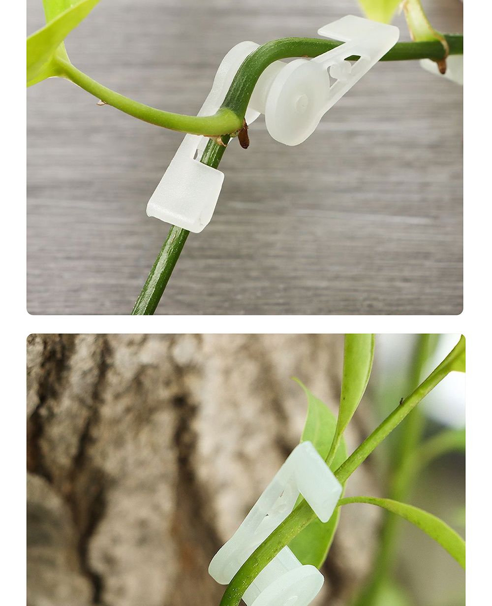 식물 줄기 360도 각도조절 지지대 클립 (10개)/식물지지대/지지대/가지유도/줄기/360도/각도조절/지지대/10