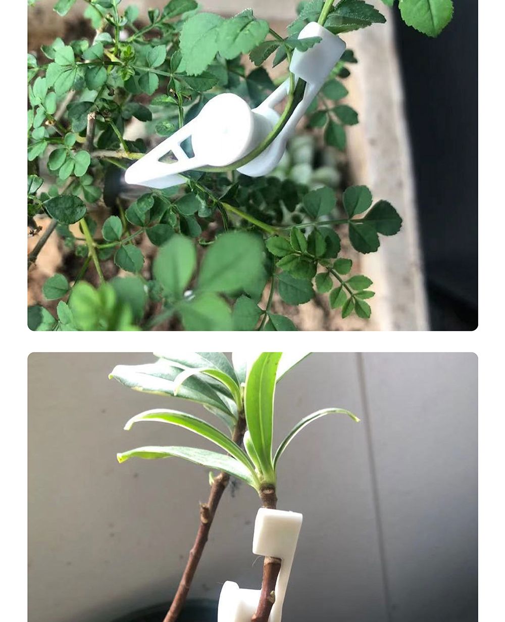 식물 줄기 360도 각도조절 지지대 클립 (10개)/식물지지대/지지대/가지유도/줄기/360도/각도조절/지지대/10