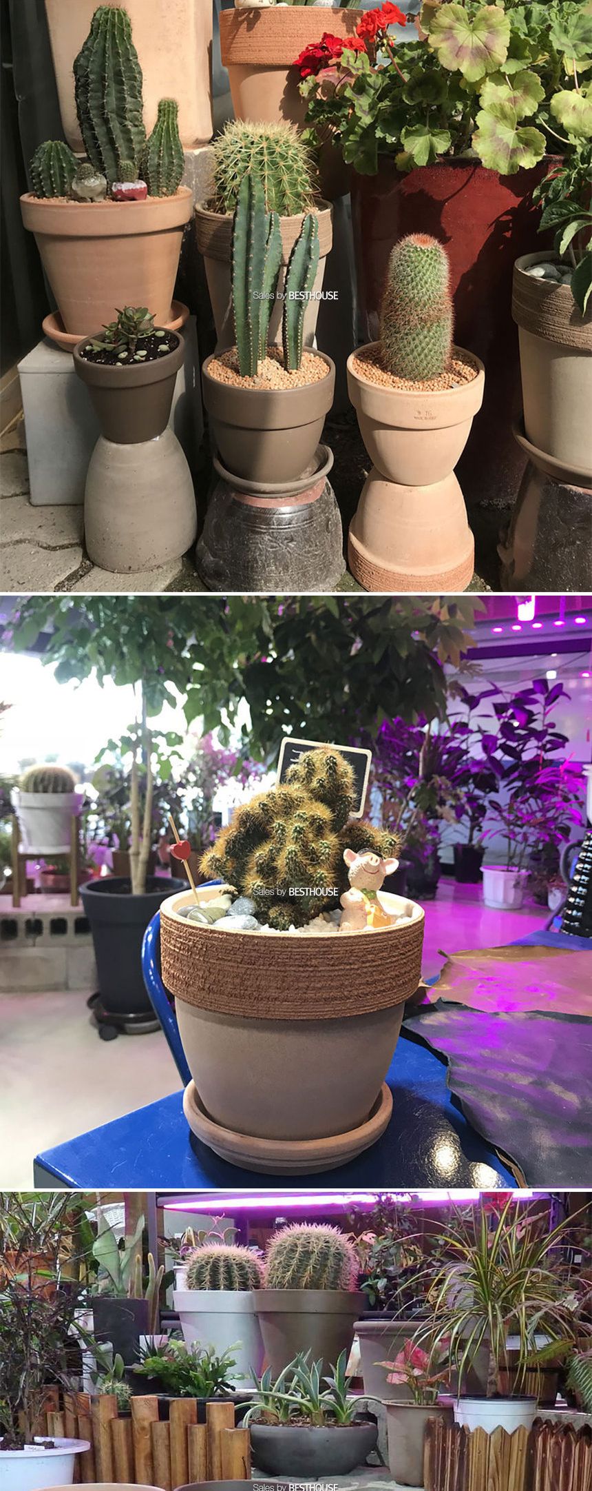 베하몰 바소 팔라디오 30x26cm 아레나(살구색)/화분/토분/예쁜토분/빈티지토분/원예용품/정원용품/분갈이화