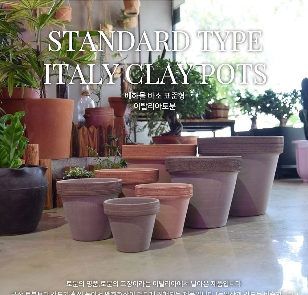 베하몰 바소 표준형 11x9cm/빈티지화분/이탈리아토분/토기화분/인테리어화분/토분/홈가드닝/원예용품/예쁜/