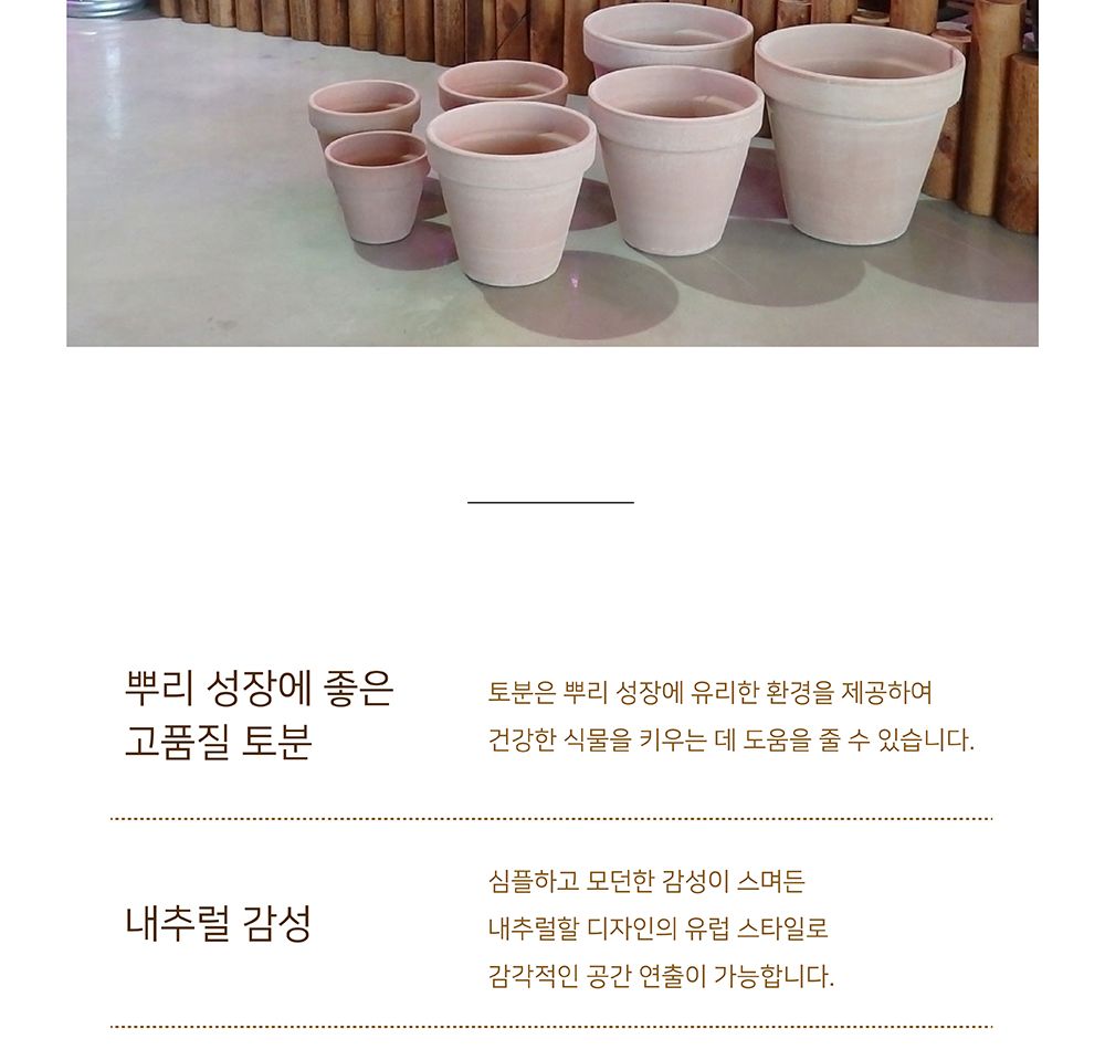 베하몰 바소 표준형 11x9cm/빈티지화분/이탈리아토분/토기화분/인테리어화분/토분/홈가드닝/원예용품/예쁜/