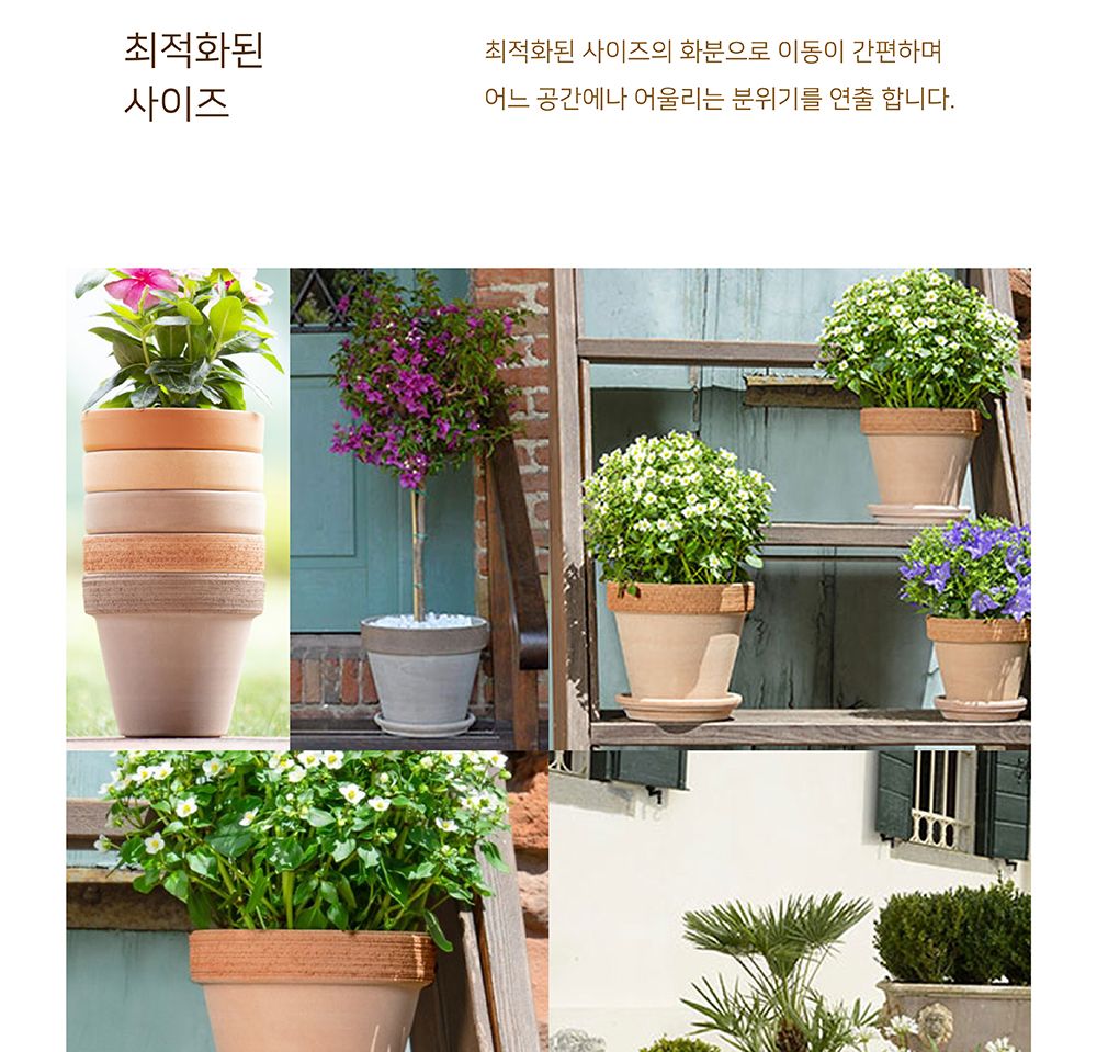 베하몰 바소 표준형 11x9cm/빈티지화분/이탈리아토분/토기화분/인테리어화분/토분/홈가드닝/원예용품/예쁜/