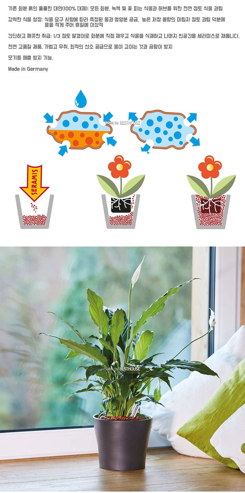 Seramis 분갈이흙 크레이볼 범용 2.5L/분갈이/식물분갈이/겨울분갈이/겨울철분갈이/겨울철분갈이요령/분갈