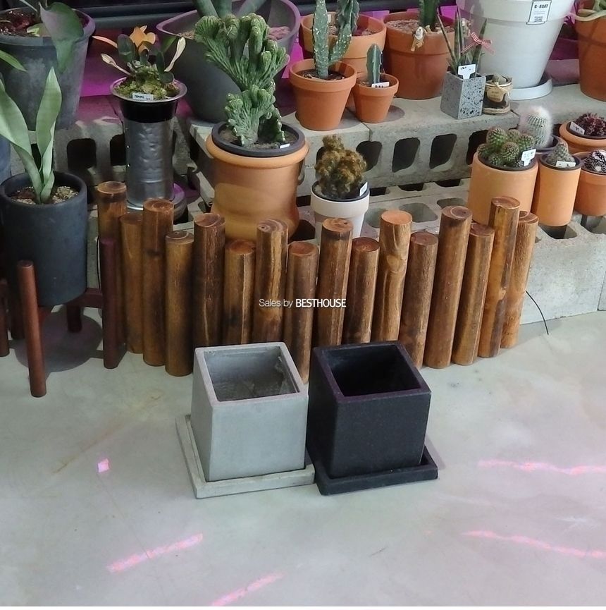 모던 시멘트 사각 17x17x17cm 화분/화분/꽃화분/식물화분/플라워화분/꽃집화분/분배화분/인테리어화분/정원