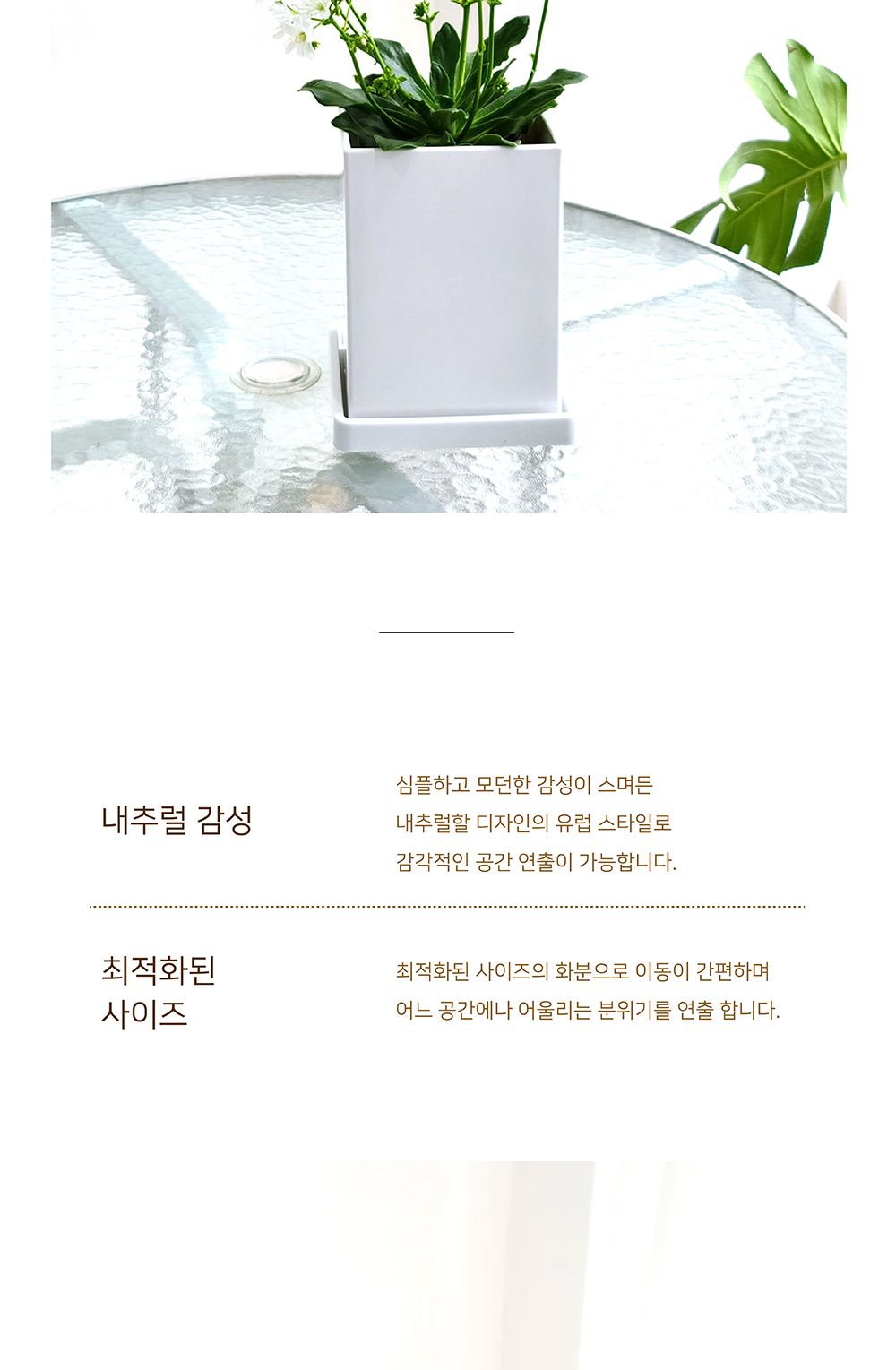 베하몰 고강도 플라스틱 긴사각 화분 14x14x20cm/화분/가벼운화분/플라스틱화분/꽃화분/식물화분/플라워화