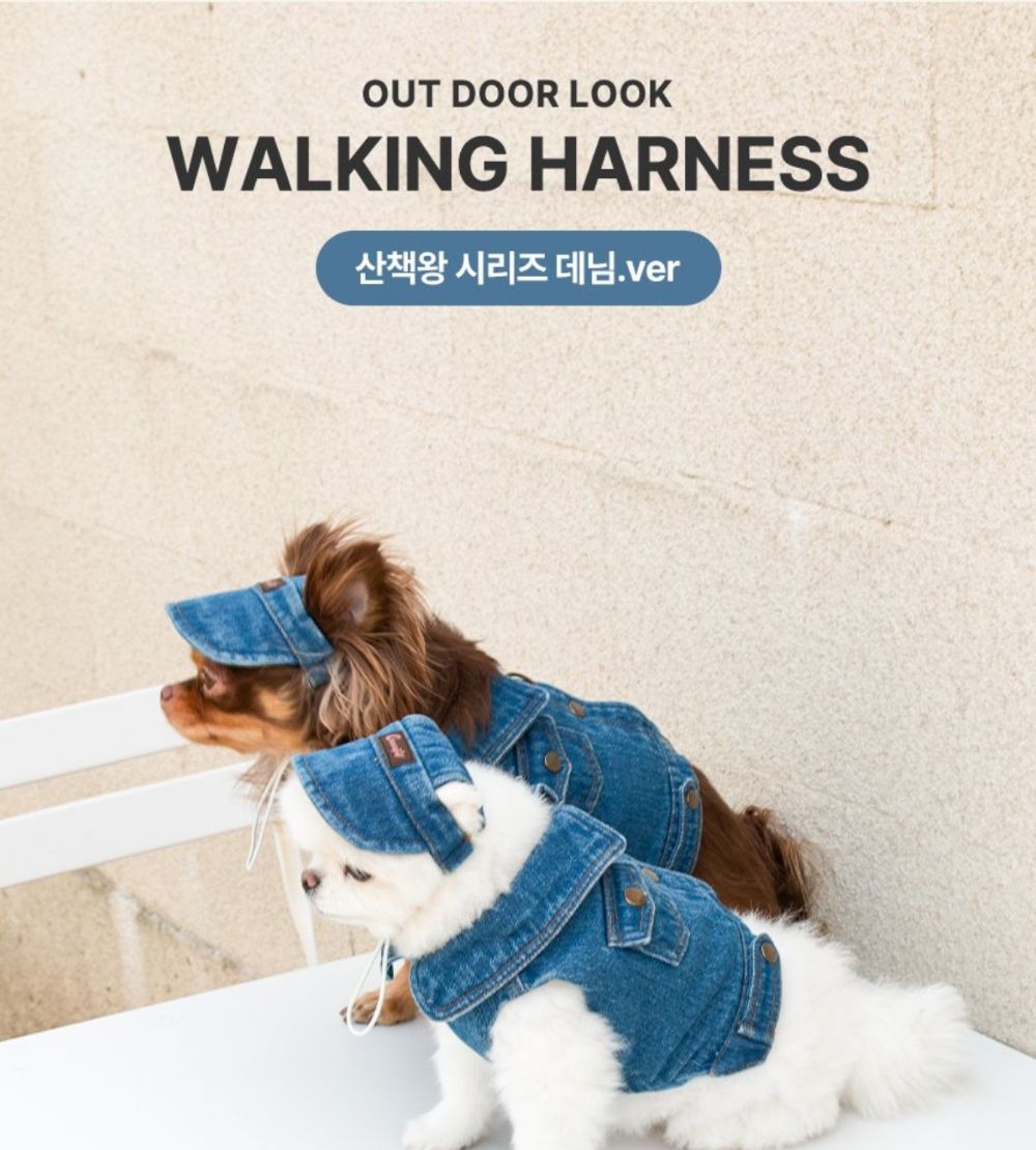 산책왕 데님 자켓 모자 세트/애완견옷/강아지옷/애견옷/반려견옷/강아지데님자켓/강아지청자켓/데님자켓모