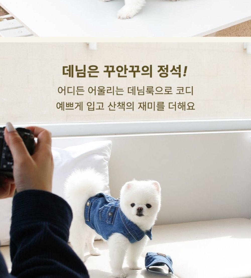 산책왕 데님 자켓 모자 세트/애완견옷/강아지옷/애견옷/반려견옷/강아지데님자켓/강아지청자켓/데님자켓모