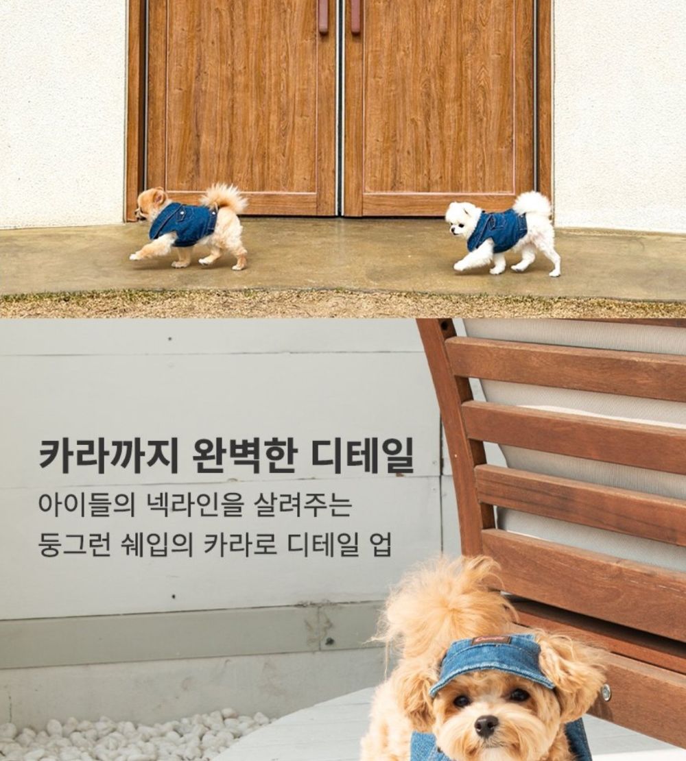 산책왕 데님 자켓 모자 세트/애완견옷/강아지옷/애견옷/반려견옷/강아지데님자켓/강아지청자켓/데님자켓모
