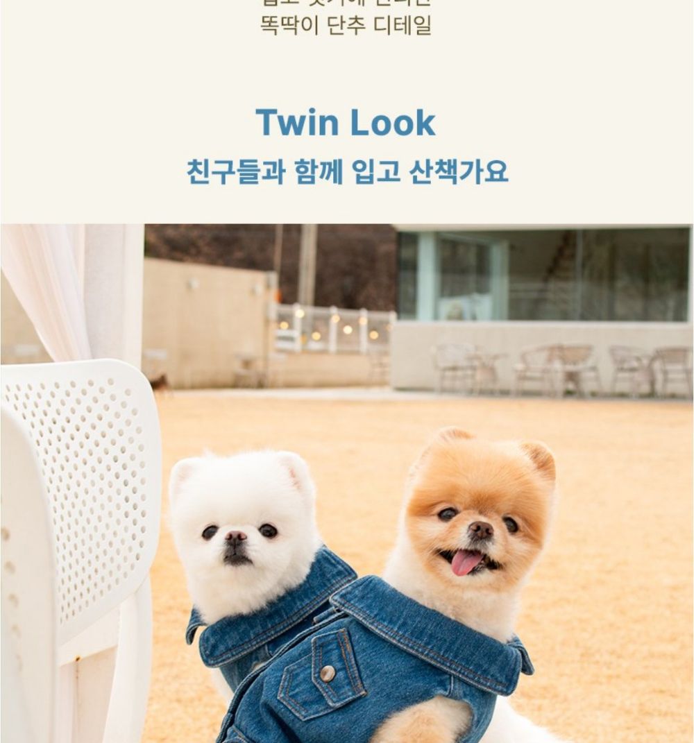 산책왕 데님 자켓 모자 세트/애완견옷/강아지옷/애견옷/반려견옷/강아지데님자켓/강아지청자켓/데님자켓모