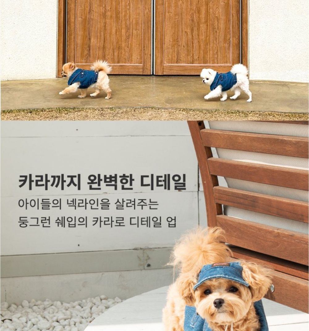산책왕 데님 자켓 모자 세트/애완견옷/강아지옷/애견옷/반려견옷/강아지데님자켓/강아지청자켓/데님자켓모