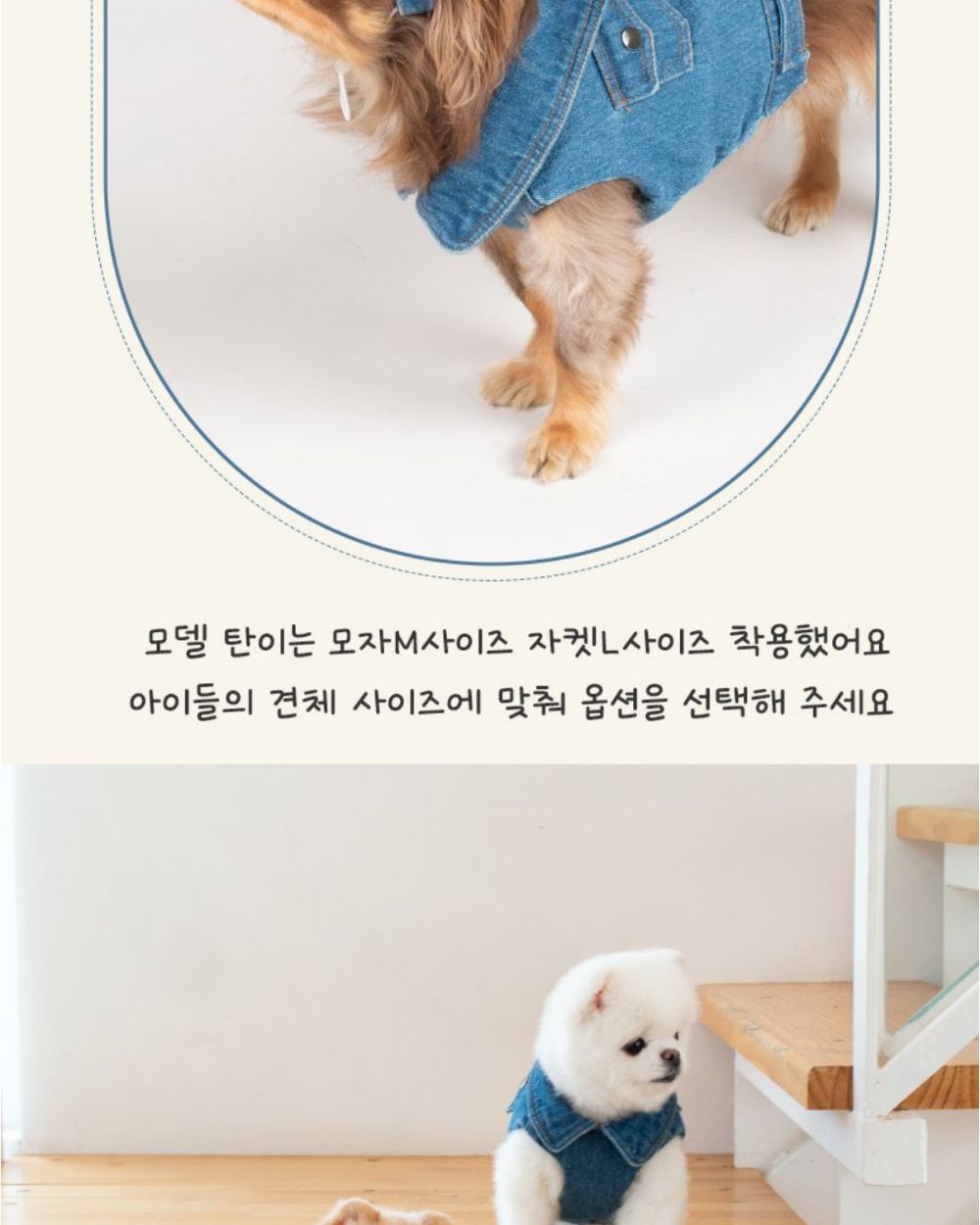 산책왕 데님 자켓 모자 세트/애완견옷/강아지옷/애견옷/반려견옷/강아지데님자켓/강아지청자켓/데님자켓모
