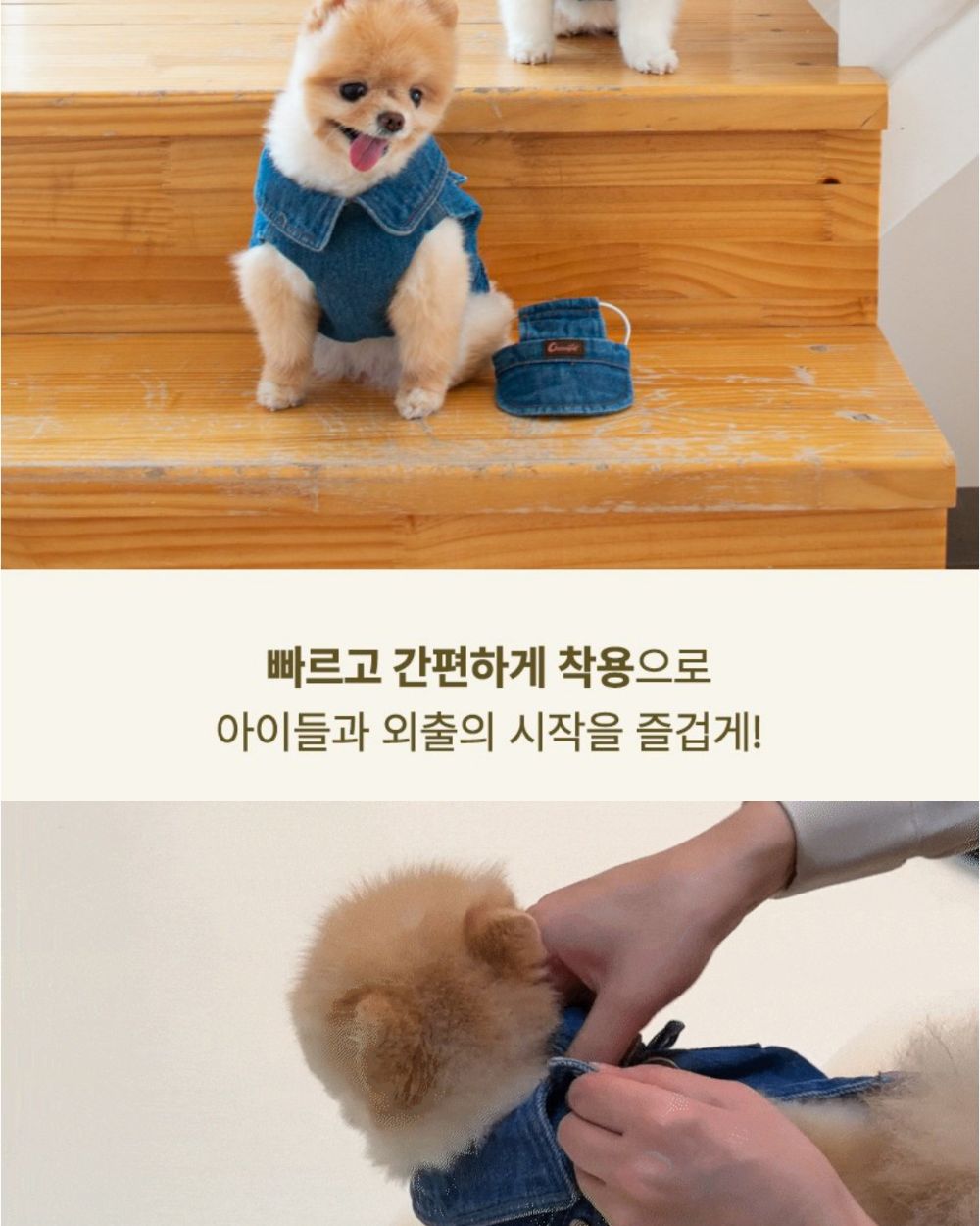 산책왕 데님 자켓 모자 세트/애완견옷/강아지옷/애견옷/반려견옷/강아지데님자켓/강아지청자켓/데님자켓모