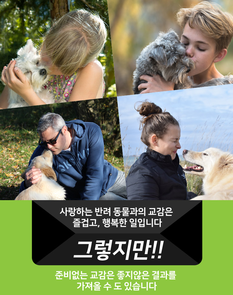 도기프랜드 덴탈 클리닉 치약 칫솔 셋트/애견치약칫솔/치약칫솔셋트/치약칫솔세트/애견치약칫솔세트/강아지