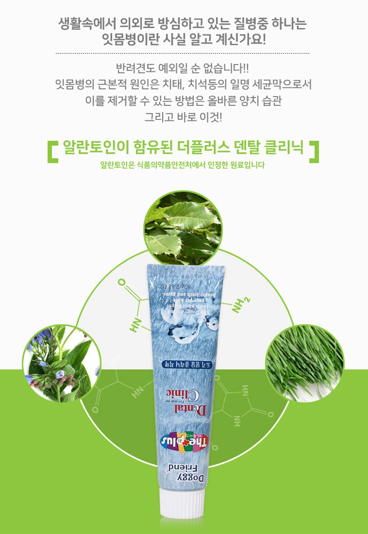 도기프랜드 덴탈 클리닉 치약 칫솔 셋트/애견치약칫솔/치약칫솔셋트/치약칫솔세트/애견치약칫솔세트/강아지