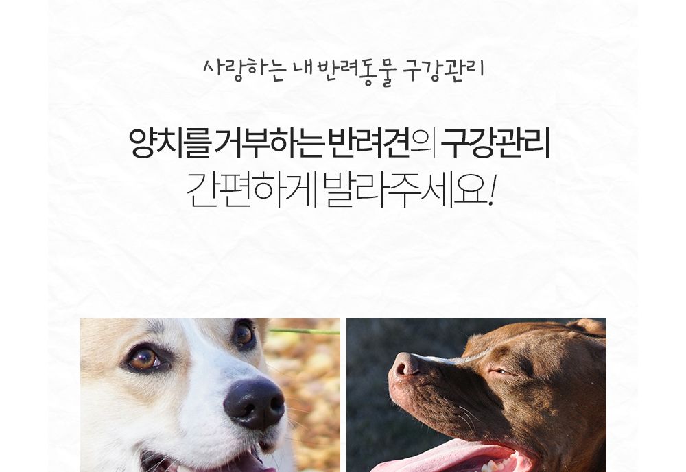 부들부들 에코랜드 덴탈 바르는치약/덴탈바르는치약/애견바르는치약/바르는치약/치아세정제/강아지치아세정
