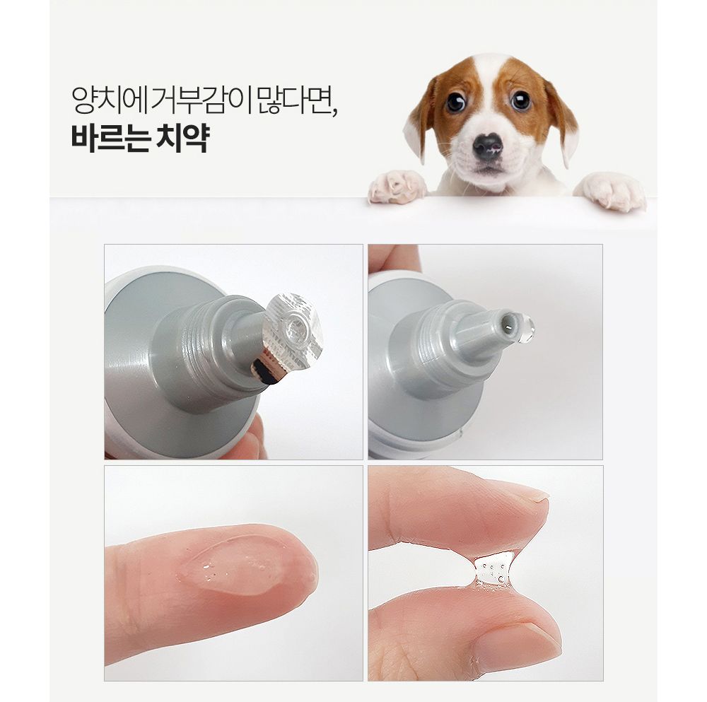 부들부들 에코랜드 덴탈 바르는치약/덴탈바르는치약/애견바르는치약/바르는치약/치아세정제/강아지치아세정