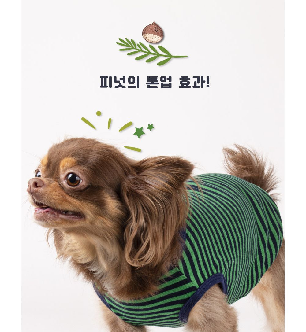스트라이프 티셔츠(체스넛)/강아지티셔츠/강아지티/반려견티/반려견티셔츠/반려견산책옷/강아지산책옷/개산