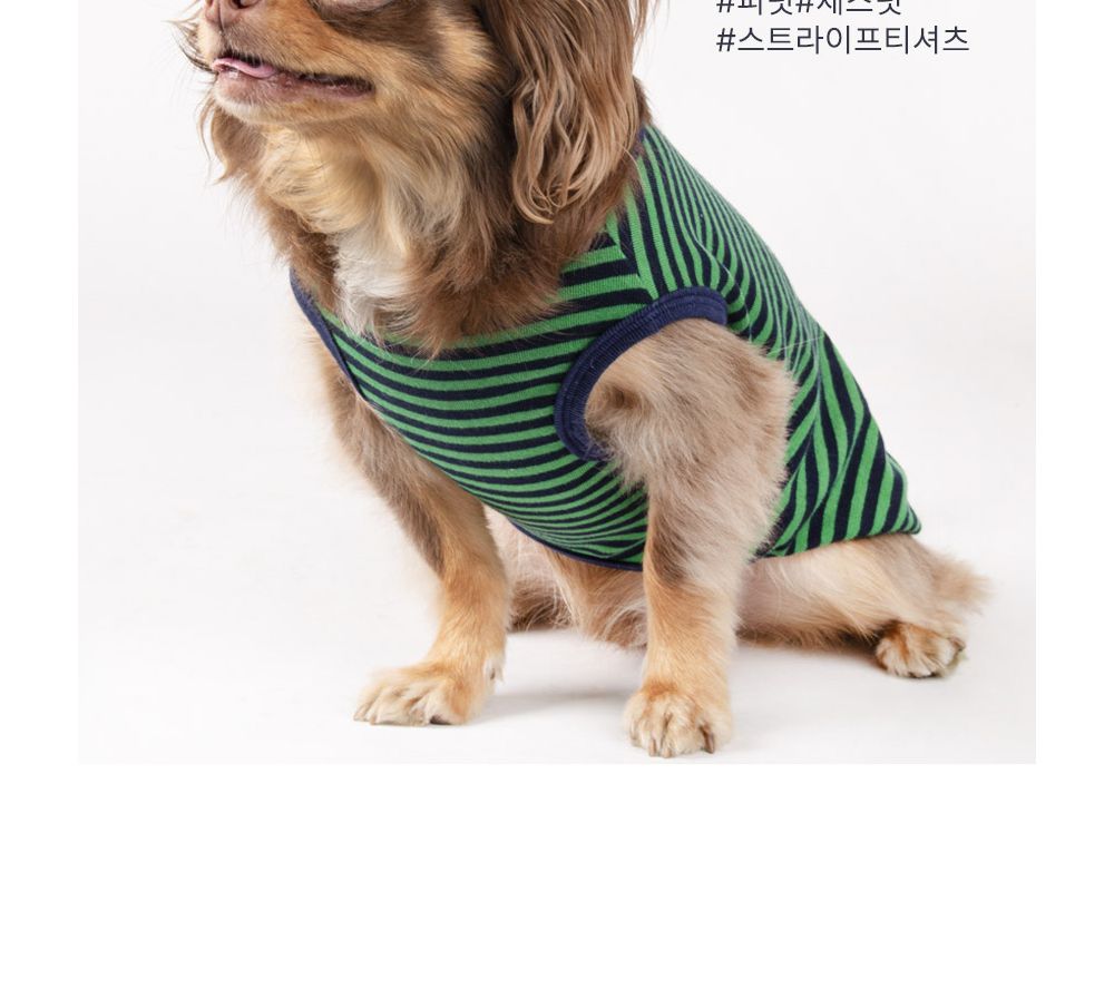스트라이프 티셔츠(체스넛)/강아지티셔츠/강아지티/반려견티/반려견티셔츠/반려견산책옷/강아지산책옷/개산