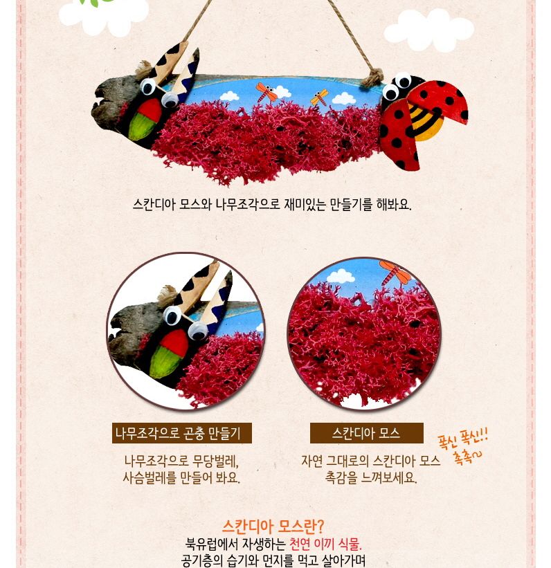 스칸디아모스 곤충 통나무걸이 만들기/놀이키트/만들기재료/만들기키트/미술만들기/엄마표미술놀이/유아미
