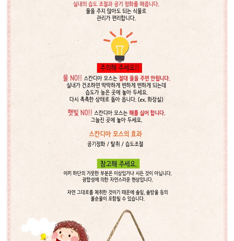 스칸디아모스 곤충 통나무걸이 만들기/놀이키트/만들기재료/만들기키트/미술만들기/엄마표미술놀이/유아미