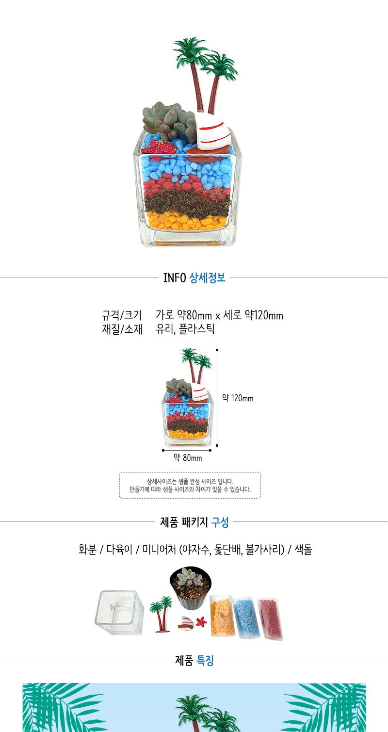 여름 다육 화분 만들기 (1인 1박스 포장)/여름다육화분만들기/다육식물화분만들기/다육식물화분/다육이화분