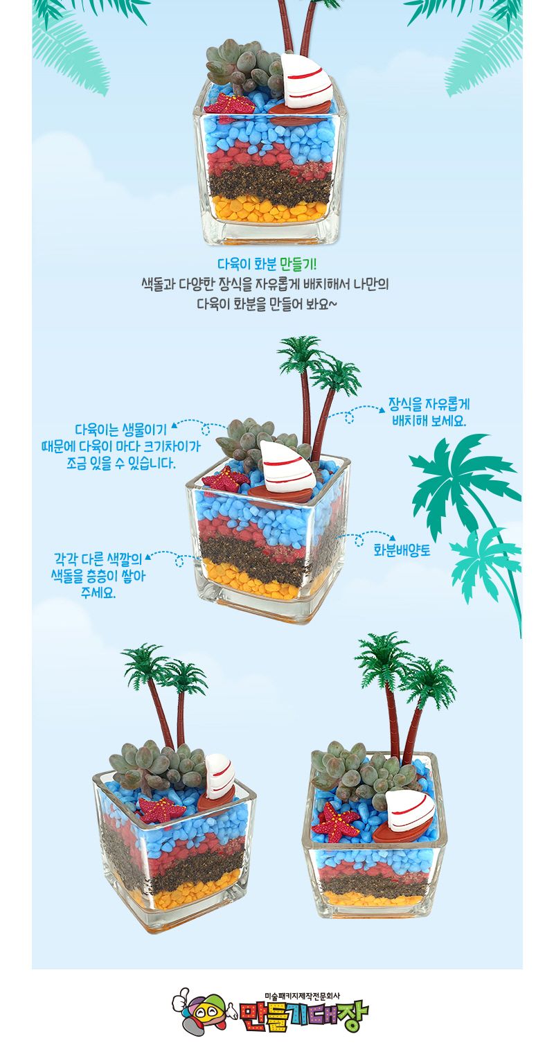 여름 다육 화분 만들기 (1인 1박스 포장)/여름다육화분만들기/다육식물화분만들기/다육식물화분/다육이화분