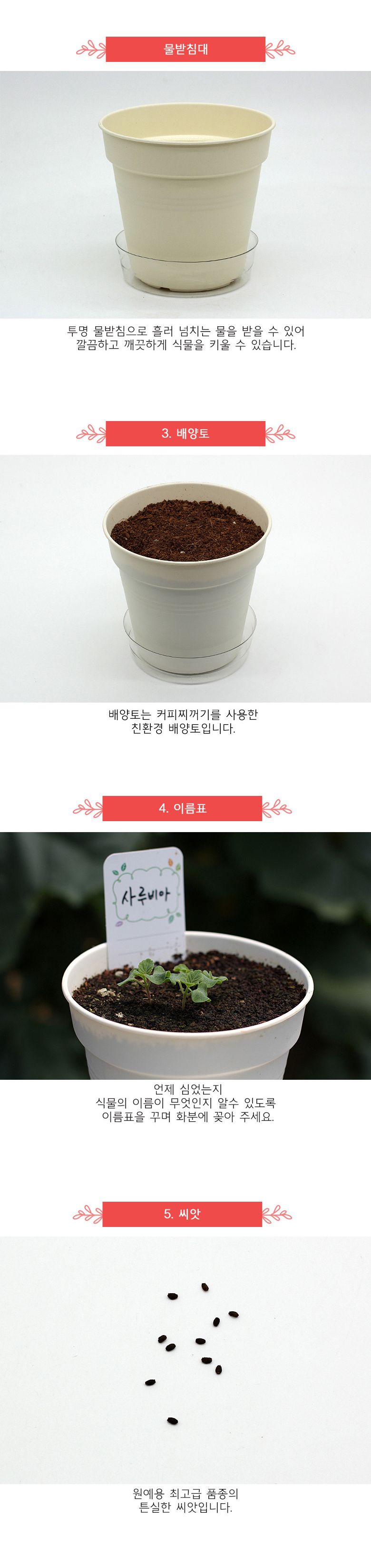 M꽃집사 _ 샐비어 키우기/샐비어키우기/샐비어재배/샐비어세트/샐비어씨앗/재배교구/재배세트/화분만들기/