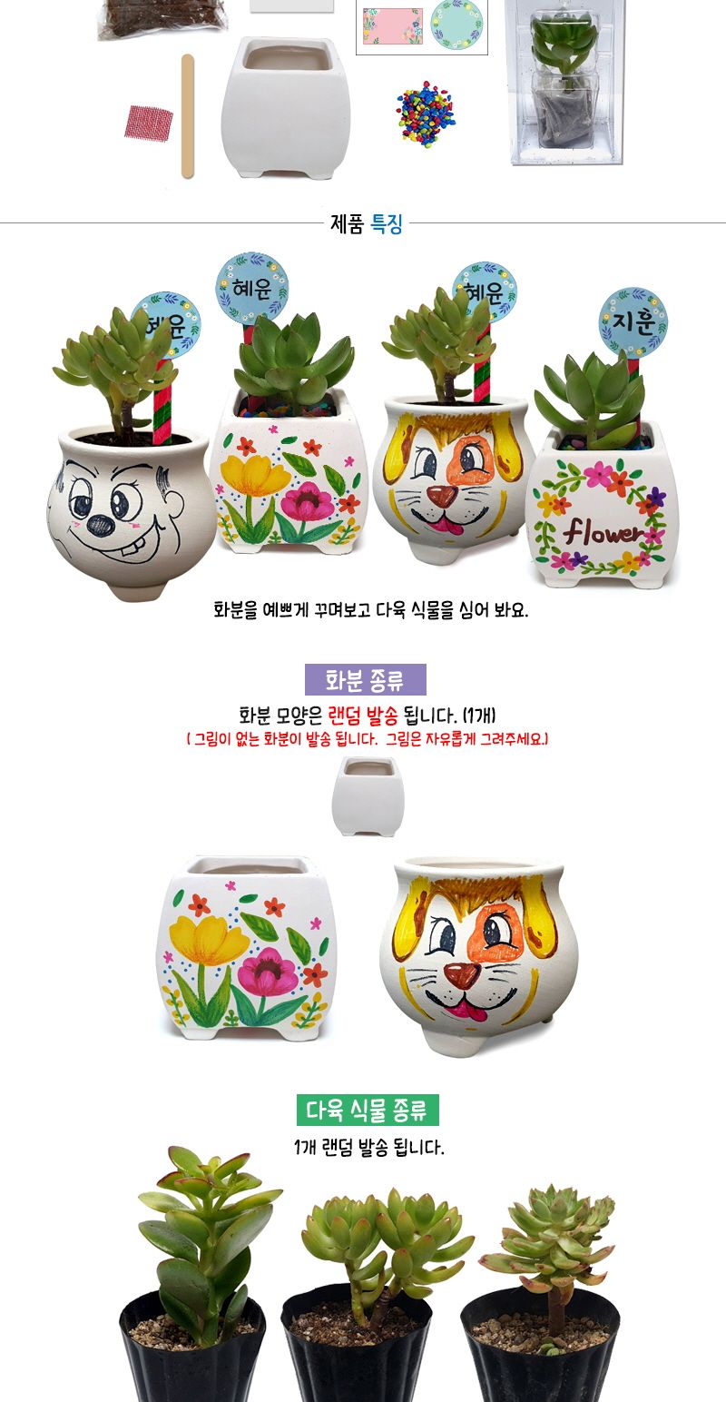 다육 식물 화분 꾸미기 세트 (식물보호케이스포함)/다육식물화분만들기/다육식물화분/다육이화분만들기/화