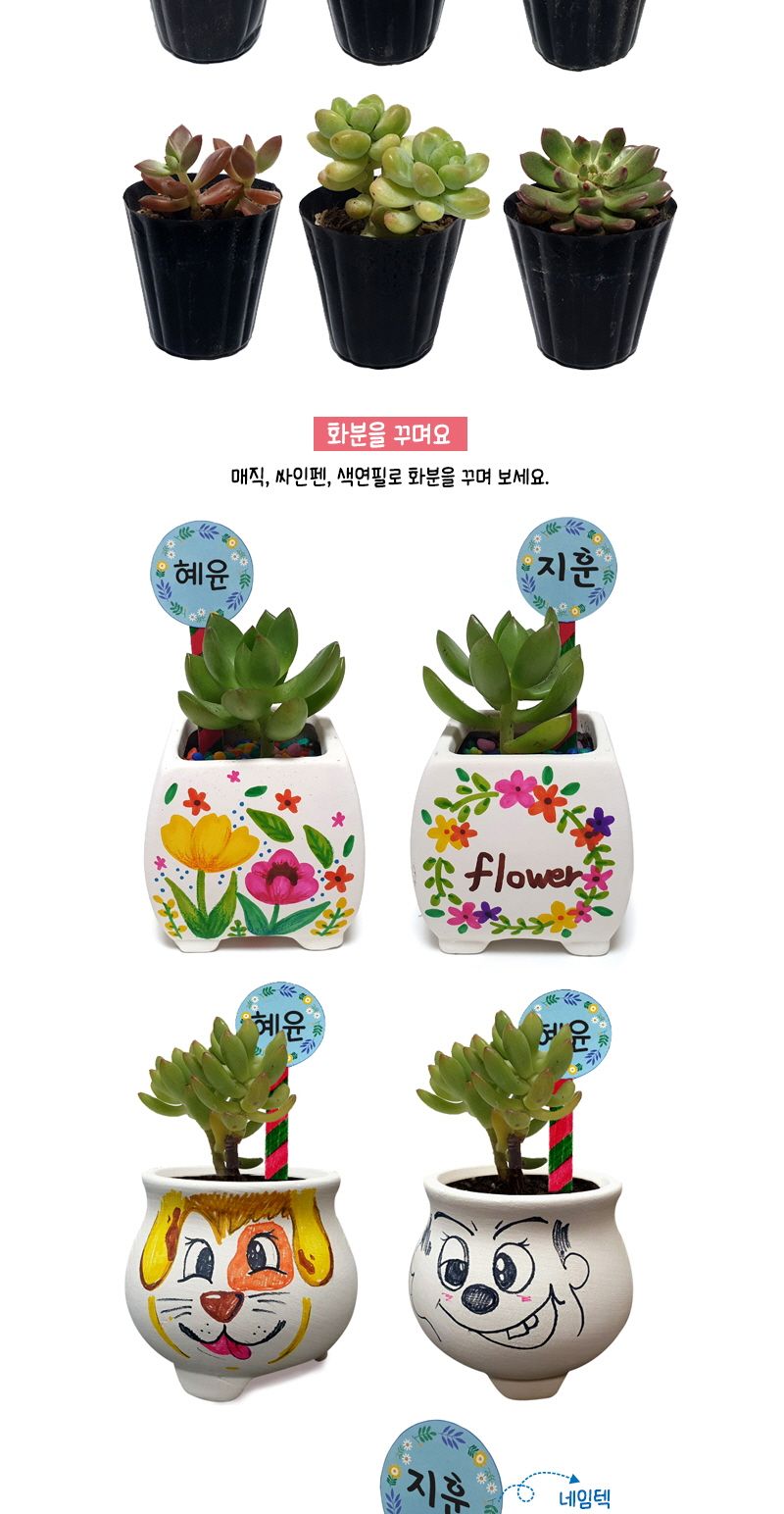 다육 식물 화분 꾸미기 세트 (식물보호케이스포함)/다육식물화분만들기/다육식물화분/다육이화분만들기/화
