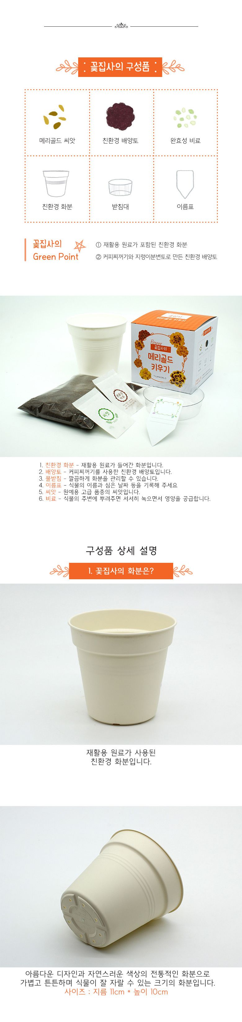 M꽃집사 _ 메리골드 키우기/씨앗모종/씨앗재배/씨앗심기/씨앗키우기/키우기좋은식물/키우기쉬운식물/식물키