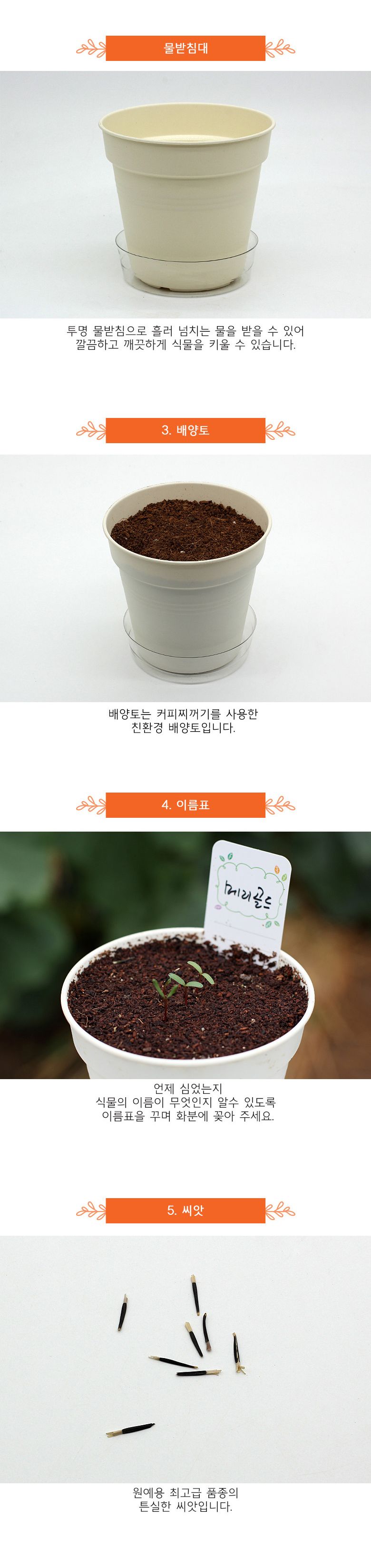 M꽃집사 _ 메리골드 키우기/씨앗모종/씨앗재배/씨앗심기/씨앗키우기/키우기좋은식물/키우기쉬운식물/식물키