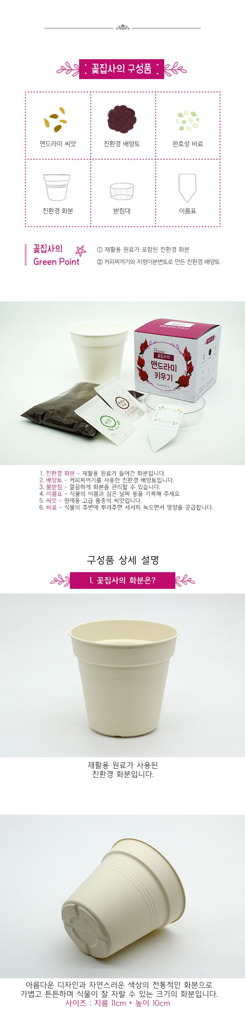 M꽃집사 _ 맨드라미 키우기/씨앗모종/씨앗재배/씨앗심기/씨앗키우기/키우기좋은식물/키우기쉬운식물/식물키